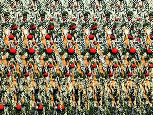 8656 (a): :1024x768